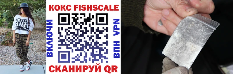 Cocaine FishScale  где купить наркотик  Волжский 