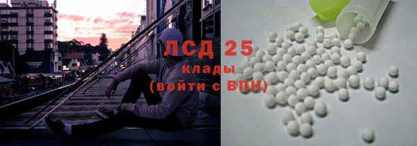 ПСИЛОЦИБИНОВЫЕ ГРИБЫ Алзамай